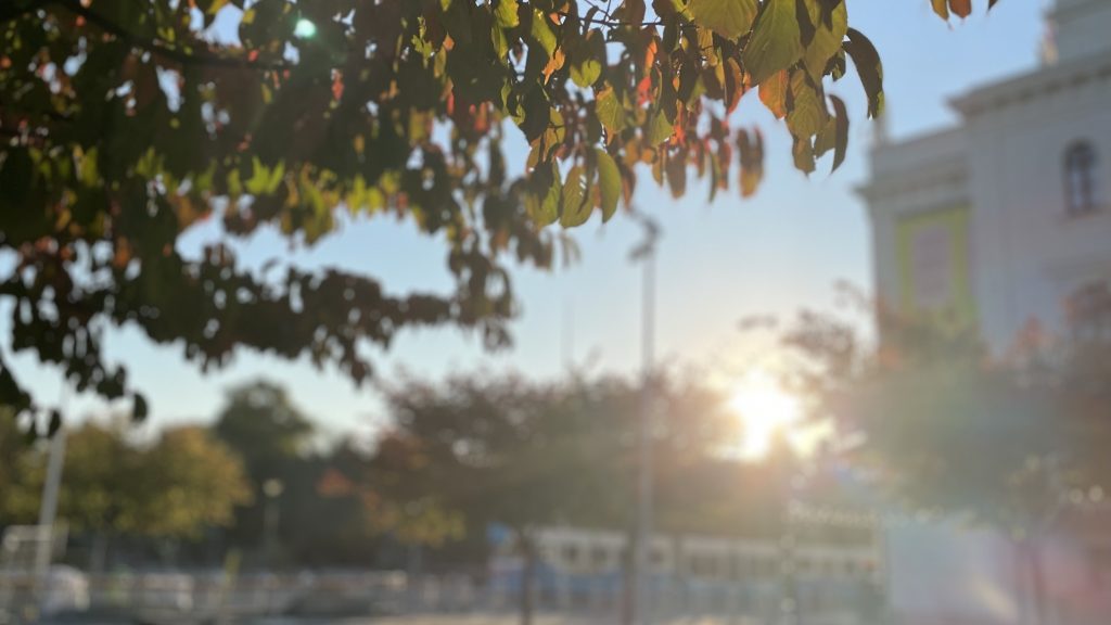 höstlövi förgrunden med en spårvagn i bakgrunden